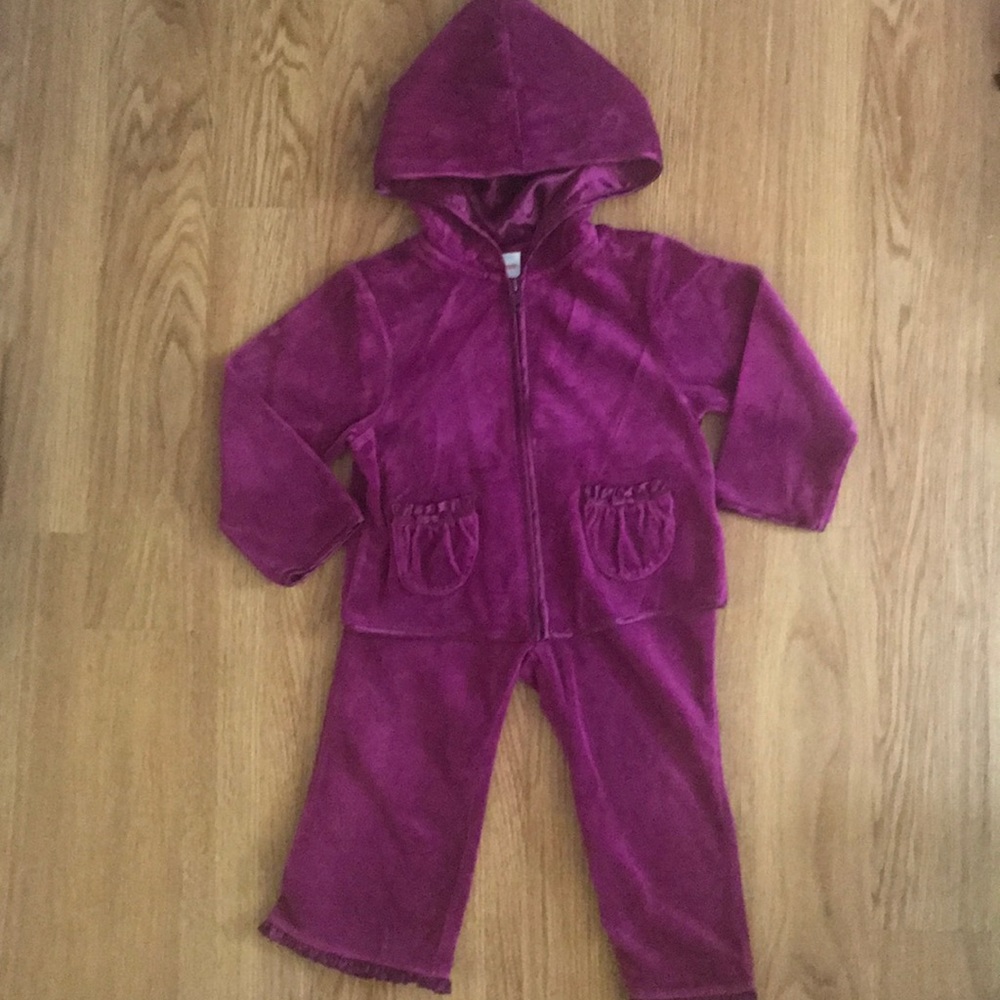 Gymboree Velour 2 piece Sweatsuit Size 2T/3T